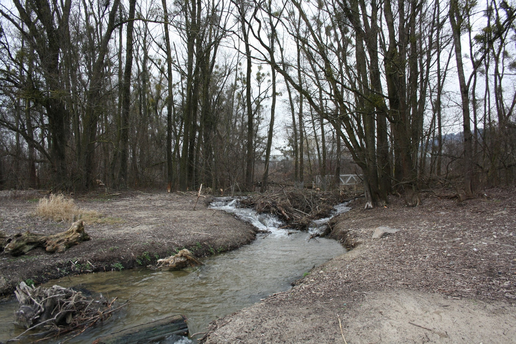 Biber am See M__hlebach H__rbranz FEB 2016 _19_.JPG