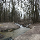 Biber am See M__hlebach H__rbranz FEB 2016 _19_.JPG