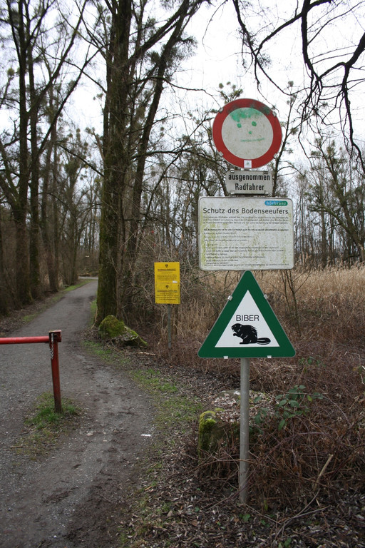 Biber am See M__hlebach H__rbranz FEB 2016 _2_.JPG
