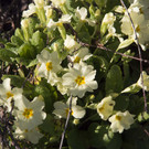P2210020_3.jpg