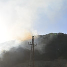 Waldbrand im Bezirk Neunkirchen