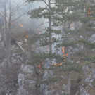 Waldbrand Rohrbach Graben NK _3_.jpg