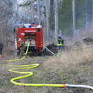Waldbrand Rohrbach Graben NK _6_.jpg