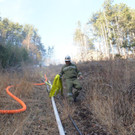 Waldbrand Rohrbach Graben NK _7_.jpg