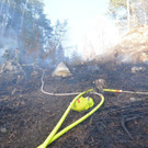 Waldbrand Rohrbach Graben NK _9_.jpg