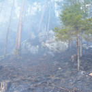 Waldbrand Rohrbach Graben NK _10_.jpg