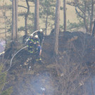 Waldbrand Rohrbach Graben NK _11_.jpg