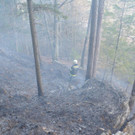 Waldbrand Rohrbach Graben NK _12_.jpg