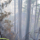 Waldbrand Rohrbach Graben NK _15_.jpg
