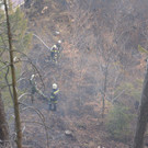 Waldbrand Rohrbach Graben NK _16_.jpg
