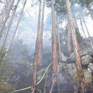 Waldbrand Rohrbach Graben NK _17_.jpg