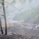 Waldbrand Rohrbach Graben NK _23_.jpg
