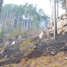 Waldbrand Rohrbach Graben NK _24_.jpg