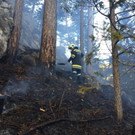Waldbrand Rohrbach Graben NK _27_.jpg