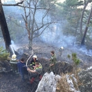 Waldbrand Rohrbach Graben NK _33_.jpg