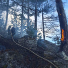 Waldbrand Rohrbach Graben NK _34_.jpg