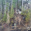 Waldbrand Rohrbach Graben NK _35_.jpg