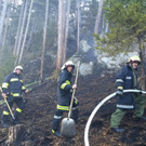Waldbrand Rohrbach Graben NK _36_.jpg