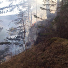 Waldbrand Rohrbach Graben NK _37_.jpg