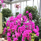 IMG_3416.JPG