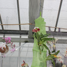 IMG_3418.JPG