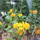 IMG_3424.JPG