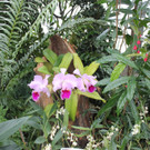 IMG_3427.JPG