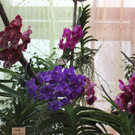 IMG_3440.JPG