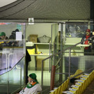 k-IMG_6241.JPG