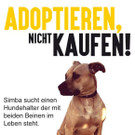 Wir suchen Dich !