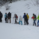 IMG_4306.jpg