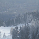 IMG_4312.jpg