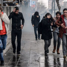 AFP_8754M.jpg