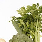 uhc CF121775_ausschnitt_72dpi.jpg