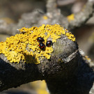 DSC02612.JPG