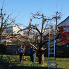 DSC02640.JPG