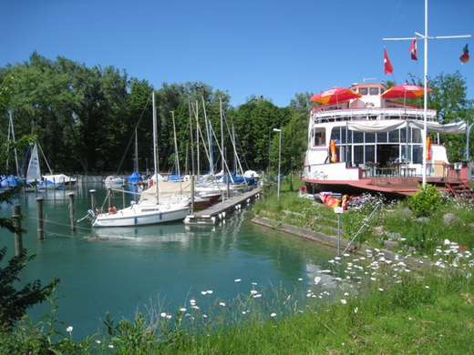 Lochau am Bodensee Sommer 2009 _11_.jpg