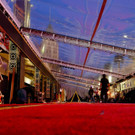 AFP_88114.jpg