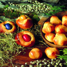 Oster Pinzen-Gusto Studio Trizeps.jpg