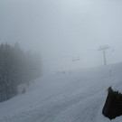 IMG_4313.jpg