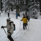 IMG_4331.jpg