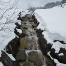 IMG_4334.jpg