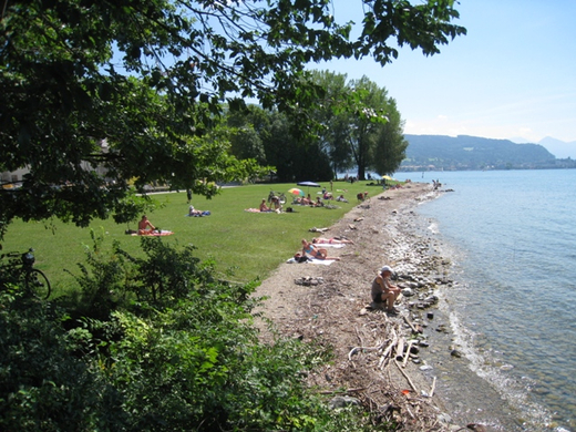 Lochau am Bodensee Sommer 2009 _21_.jpg