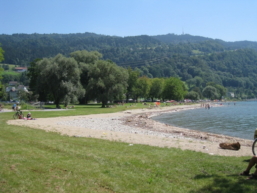 Lochau am Bodensee Sommer 2009 _22_.jpg