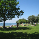 Lochau am Bodensee Sommer 2009 _25_.jpg