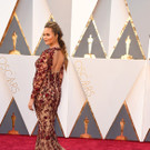88th_Academy_Awards_-_Arrivals_13_.jpg