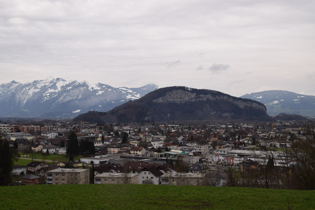 DSC_0877.JPG