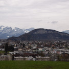 DSC_0877.JPG