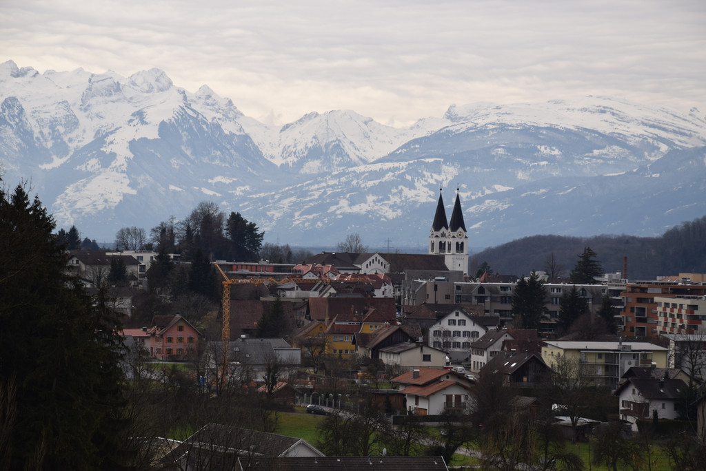 DSC_0875.JPG