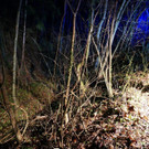 29022016_T2 Schwarzau _4_.jpg